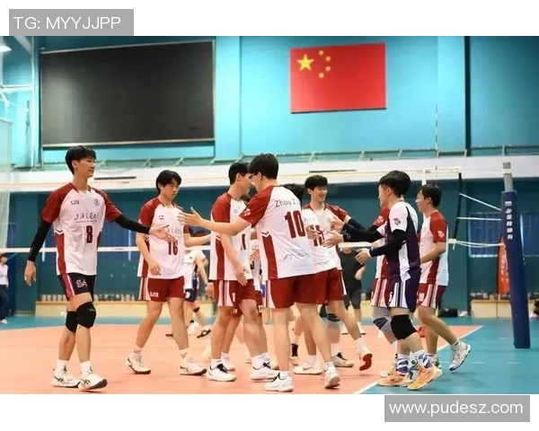 上海排球队的节奏揭秘：深度解析排球战术与团队协作的完美融合