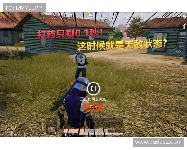 与赵丽畅谈和平精英的成长历程与游戏心得分享 与赵丽畅谈和平精英的成长历程与游戏心得分享