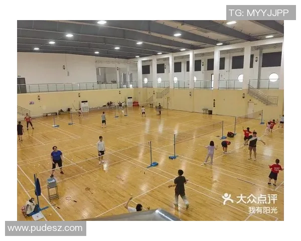 上海羽毛球队的蜕变与成长之路全景纪实