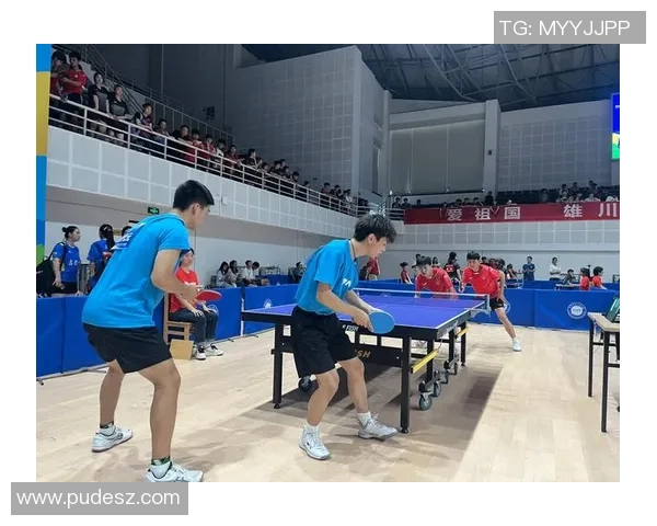 乒乓球盛宴：深入成都乒乓球队的训练与比赛节奏探秘