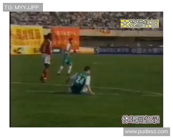 深圳羽毛球队快攻战术揭秘与深度分析探讨