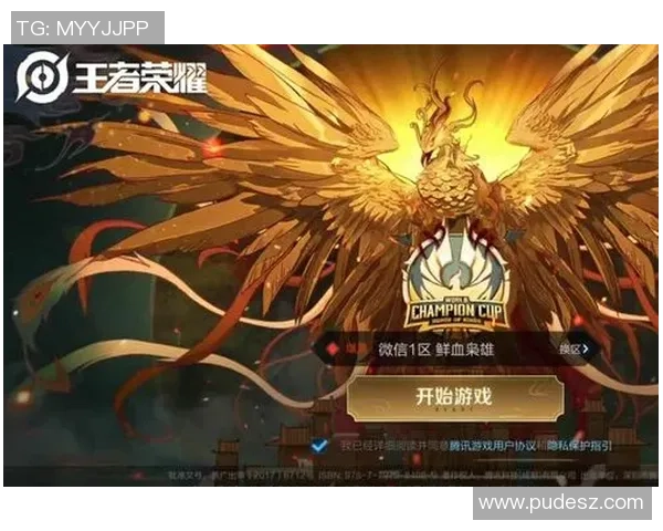 王者荣耀战术分析：深入探讨IG战队的控制与策略运用