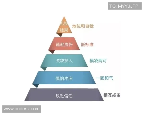 西安篮球队在邀请赛中的团队协作表现分析与点评