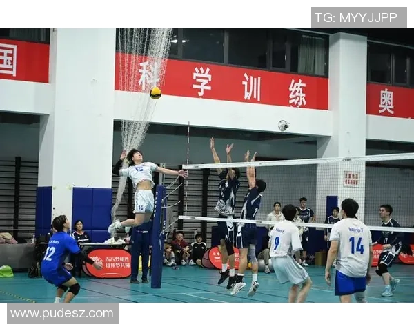 杭州排球队状态分析与未来展望探讨